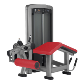 Seated LEG CURL