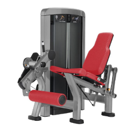 Leg Extension